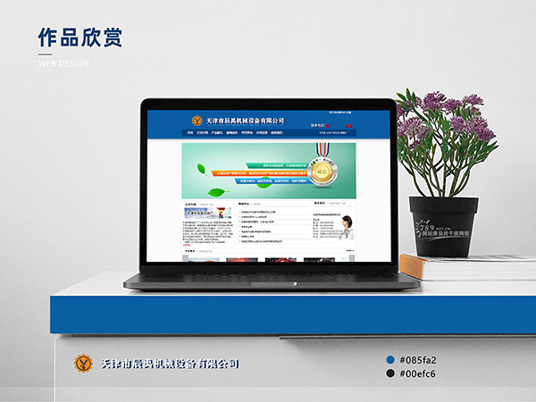 選對網站搭建公司，省心又劃算！